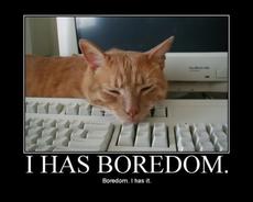 Don't surrender to boredom; fight it with my proven tips!